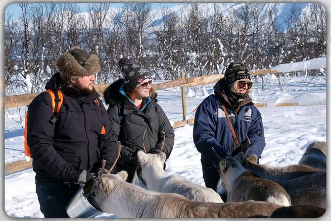Reindeer feeding & Saami Culture - Is $183.01 a fair price?