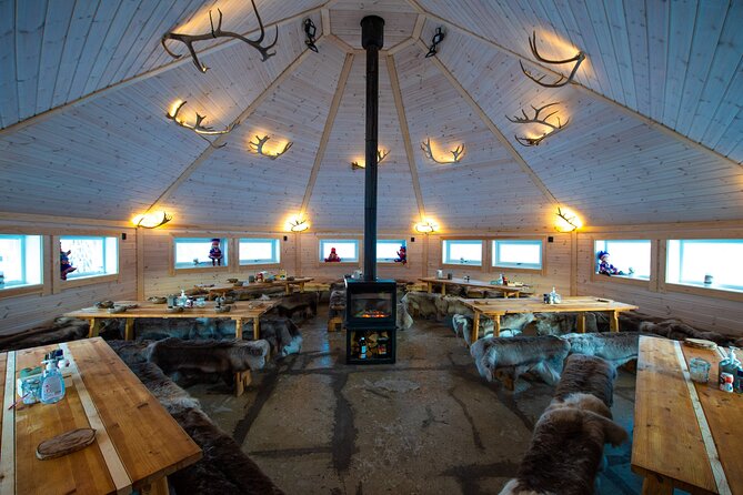 Reindeer feeding & Saami Culture - Who should book this Tromsø experience?