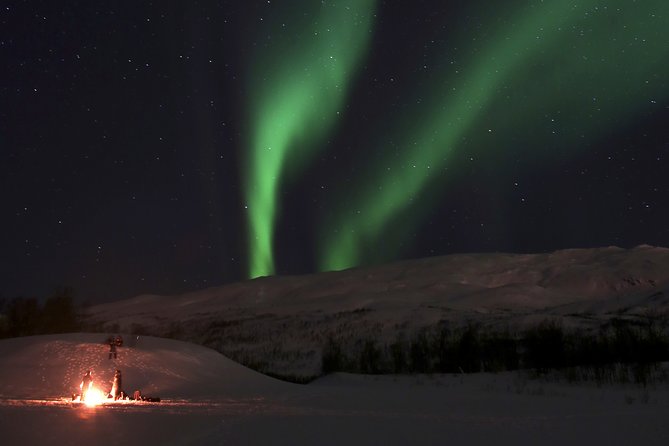 Reindeer feeding & Saami Culture with chance for Northern Lights - Practical advice before you book