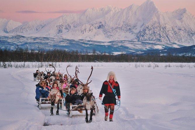 Reindeer Sledding and Feeding with Sami Culture in Tromso. - Leaving Tromsø for the reindeer camp