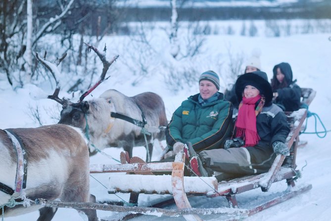 Reindeer Sledding and Feeding with Sami Culture in Tromso. - The 30-minute sled ride through the snow