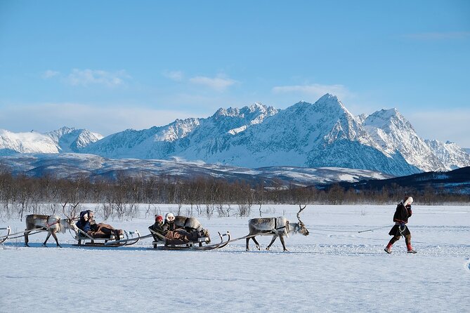 Reindeer Sledding and Feeding with Sami Culture in Tromso. - The Sámi connection, beyond a quick photo stop