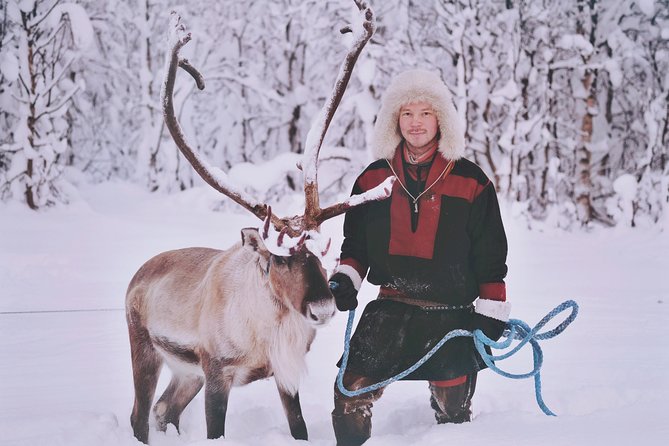 Reindeer Sledding and Feeding with Sami Culture in Tromso. - Reindeer stew, vegan food, and the warm-up break