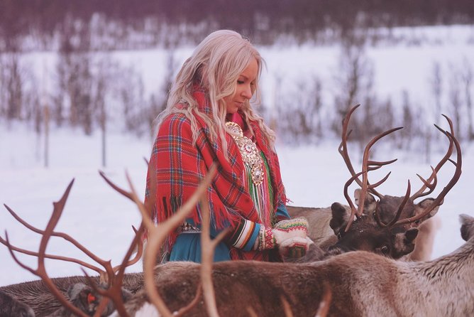 Reindeer Sledding and Feeding with Sami Culture in Tromso. - Is $237 a fair price?