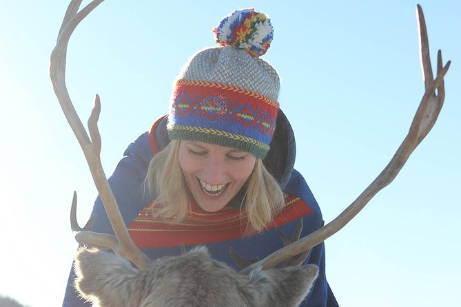 Reindeer Sledding Experience and Sami Culture Tour from Tromso - How the four-hour schedule works