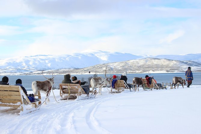 Reindeer Sledding Experience and Sami Culture Tour from Tromso - Who will enjoy this experience most
