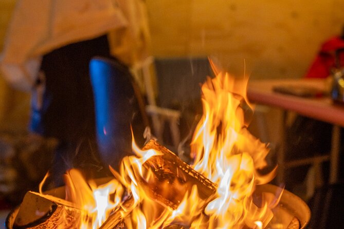 Reindeer Sledding, Feeding And Sami Culture At Reindeer Farm - Key points at a glance