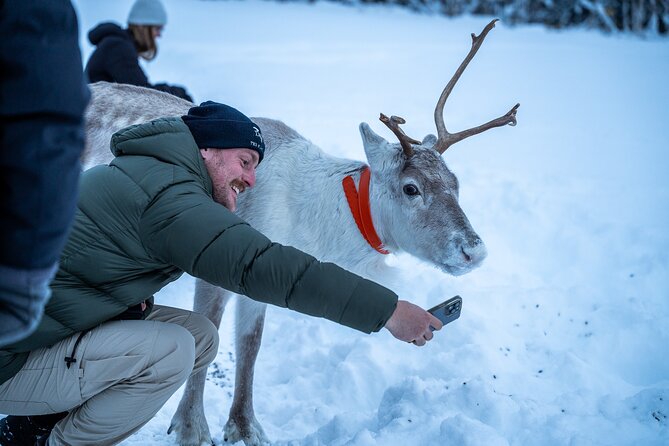 Reindeer Sledding, Feeding And Sami Culture At Reindeer Farm - Bonfire food, soup, and hot drinks