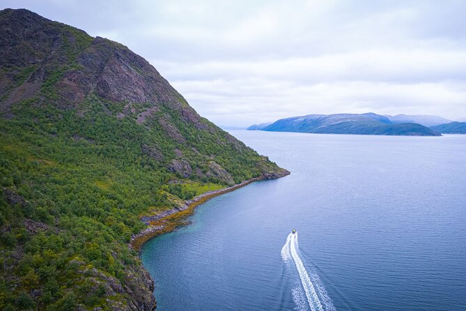 RIB Expedition to Seiland National Park - 3.5h - Wildlife along the route