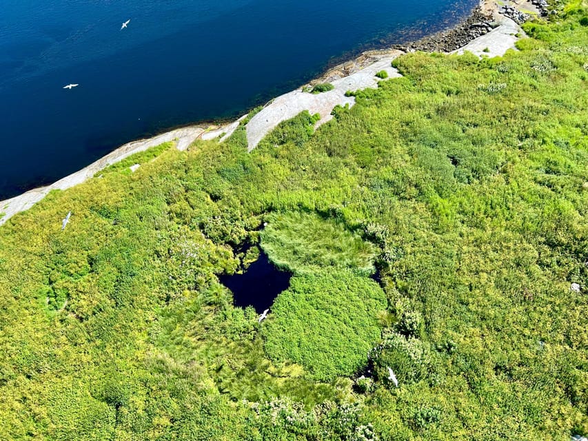 Saltstraumen: Arctic Adventure and Scenic Journey - Key points to know before booking