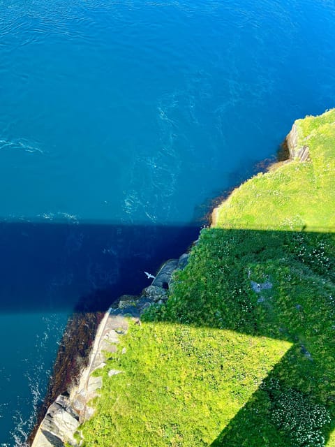 Saltstraumen: Arctic Adventure and Scenic Journey - Practical details before you reserve