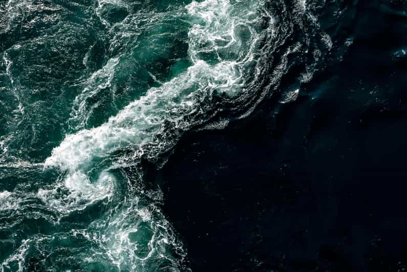 Saltstraumen: Arctic Adventure and Scenic Journey - What $206 means for a private group of four