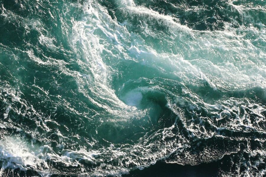 Saltstraumen: Arctic Adventure and Scenic Journey - Who will enjoy this three-hour outing most