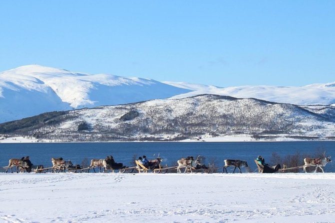 Sami Culture and Short Reindeer Sledding from Tromso - Weather, clothing, and practical comfort