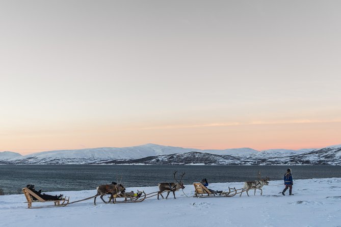 Sami Culture and Short Reindeer Sledding from Tromso - Who will enjoy this Tromsø experience most?