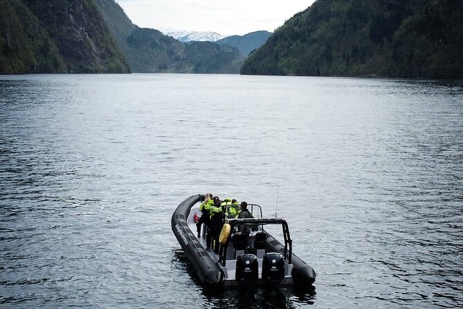 Scenic RIB adventure to Hardangerfjord & Fyksesund from Øystese - Botnen: a historic village at the fjord’s end