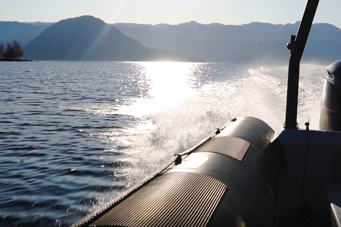 Scenic RIB adventure to Hardangerfjord & Fyksesund from Øystese - The guide can make the difference