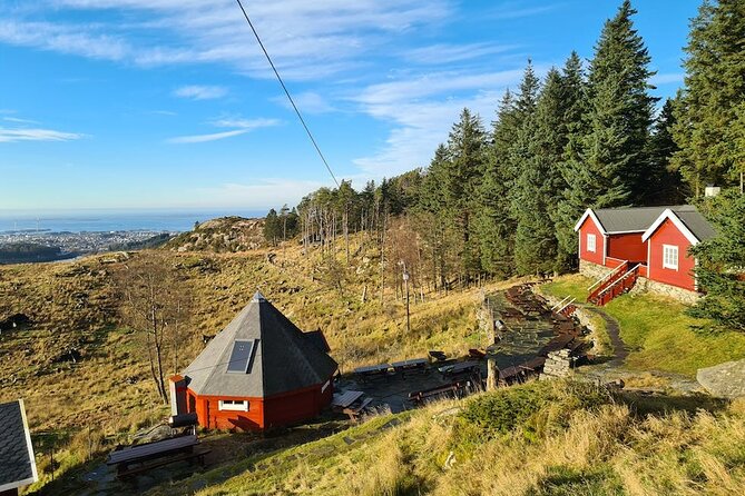 Scenic tour to Steinsfjellet, locals at Kringsjå & Rising Tide - Key points at a glance