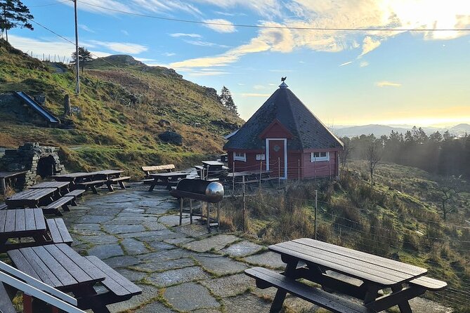 Scenic tour to Steinsfjellet, locals at Kringsjå & Rising Tide - Why this three-hour outing works