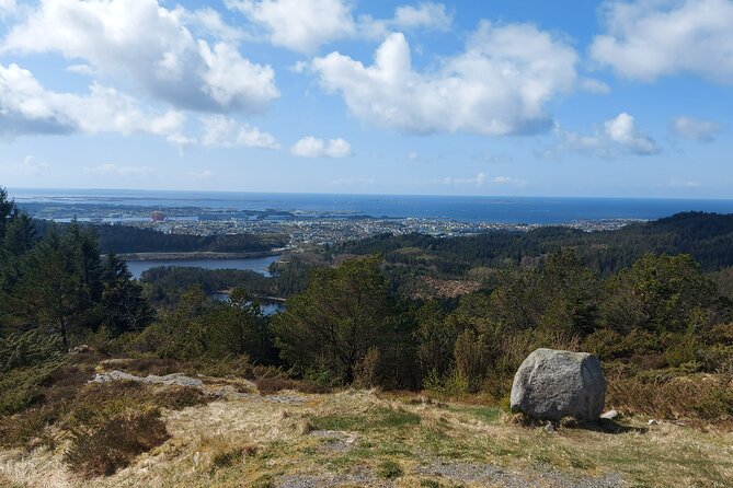 Scenic tour to Steinsfjellet, locals at Kringsjå & Rising Tide - Returning by the scenic path