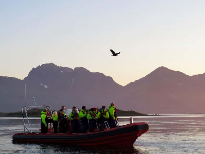 Sea Eagle/Nature Safari - Searching for Sea Eagles Outside Henningsvær