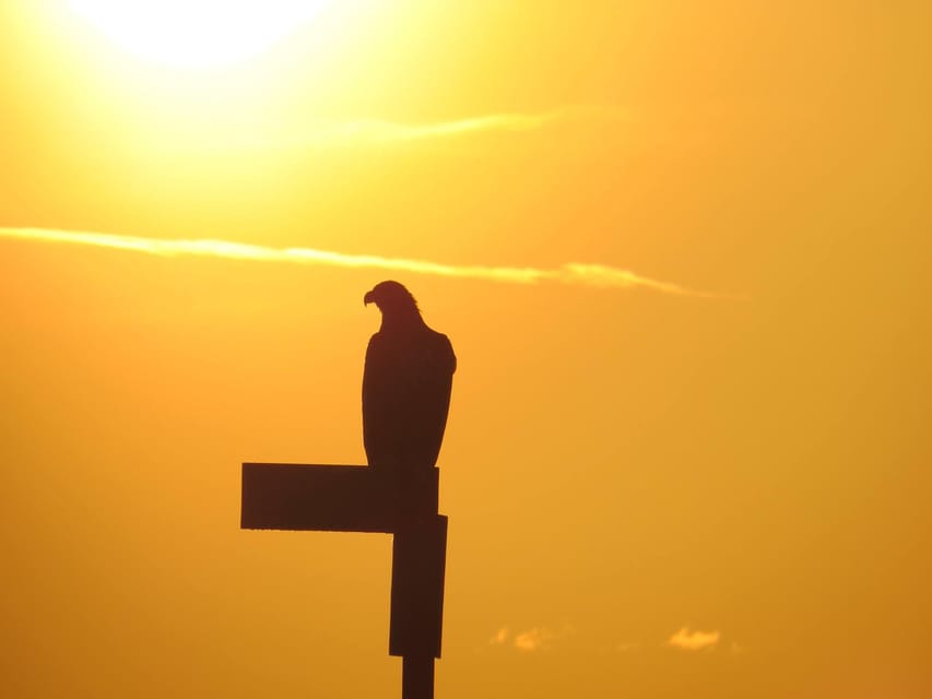 Sea Eagle/Nature Safari - Is $114 a Fair Price?
