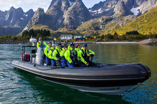 Sea Eagle Safari from Svolvær to Trollfjorden - Five things to know before you book