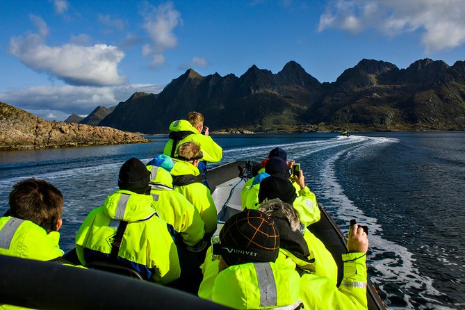 Sea Eagle Safari from Svolvær to Trollfjorden - From Svolvær harbor to open-water excitement