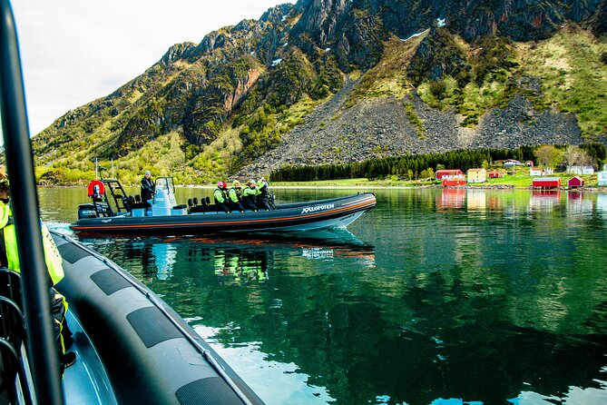 Sea Eagle Safari from Svolvær to Trollfjorden - Who will enjoy this most?