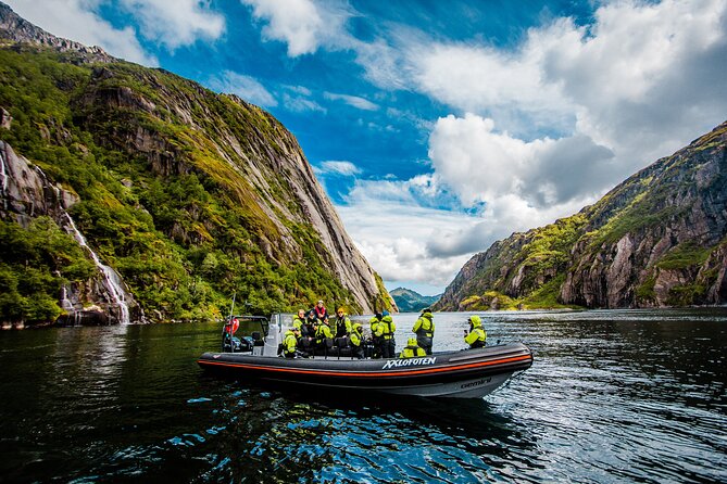 Sea Eagle Safari from Svolvær to Trollfjorden - Practical planning for your Svolvær day