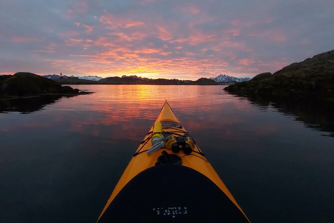 Sea Kayak Guided Tours on Skrova Island - Wildlife possibilities on the water