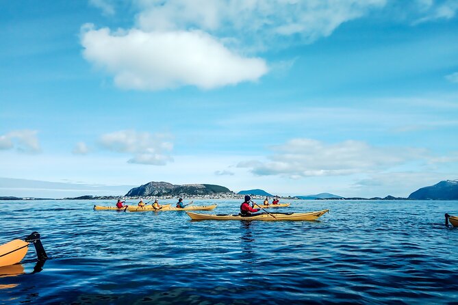 Sea Kayaking In Ålesund - Key points at a glance