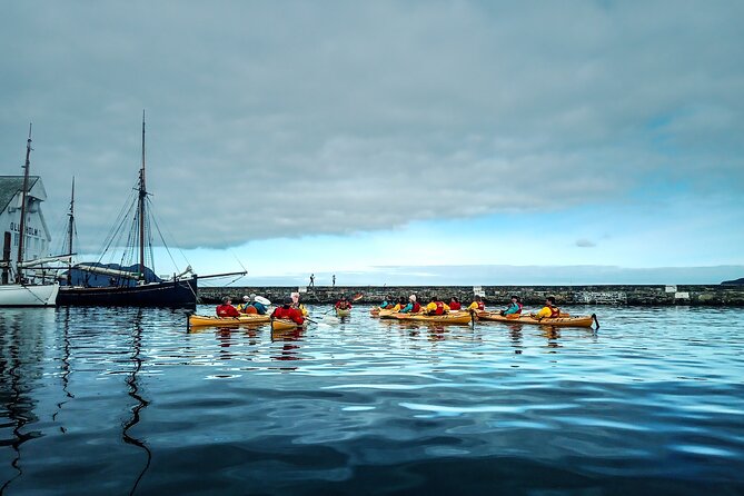 Sea Kayaking In Ålesund - Is the $118.24 price fair?