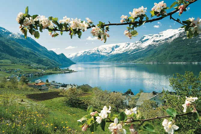 Self-Guided 22-Hour Round Trip From Oslo To Sognefjord With Flåm Railway - The Flåm Railway and its steep valley