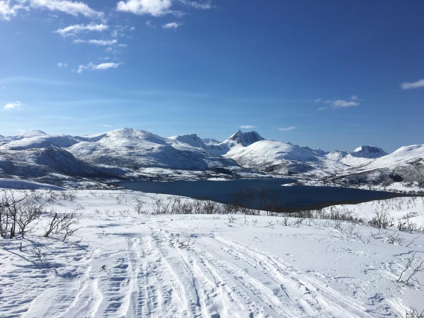 Senja Island: Winter Light Package Deal, 1 Day and 1 Night - What the $514 price includes