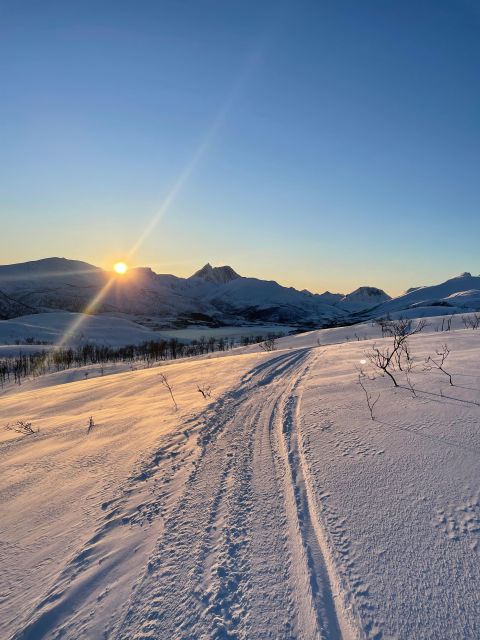 Senja Island: Winter Light Package Deal, 1 Day and 1 Night - Seeing Senja from the National Tourist Road