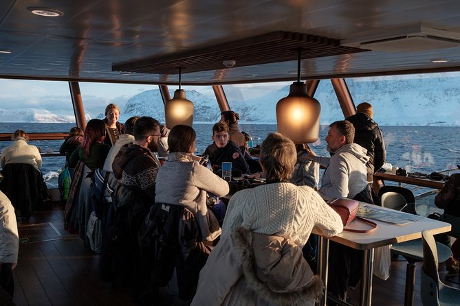 Silent Whale Watching by Hybrid-Electric Boat from Tromsø - Sea conditions, daylight, and seasickness