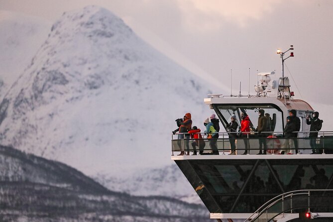 Silent Whale Watching by Hybrid-Electric Boat from Tromsø - Does the $214.85 price offer fair value?
