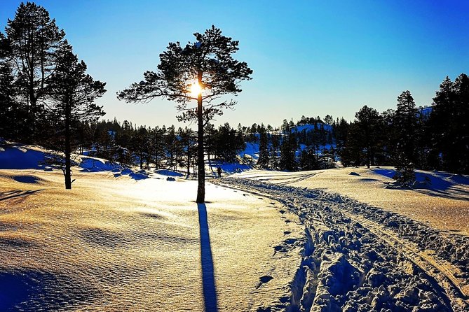 Skiing in winter wonderland - From Trondheim Torg to the Forest