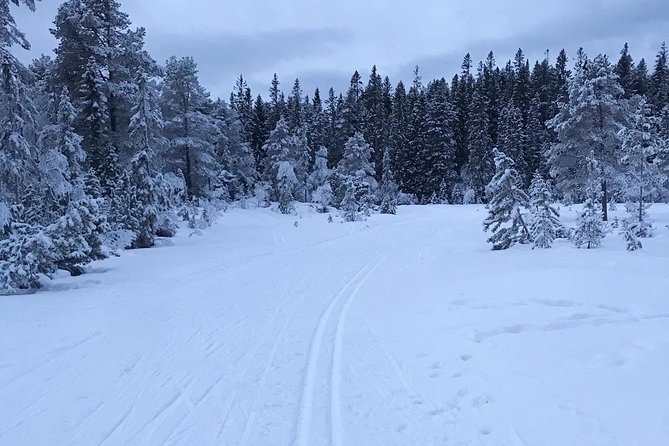 Skiing in winter wonderland - The Norwegian Snack Break