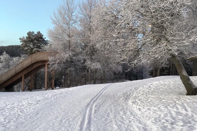 Skiing in winter wonderland - What $232.82 Buys You