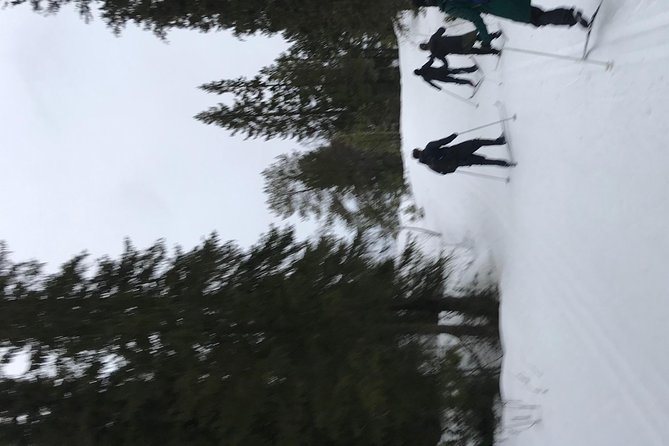 Skiing in winter wonderland - Who Will Enjoy This Most