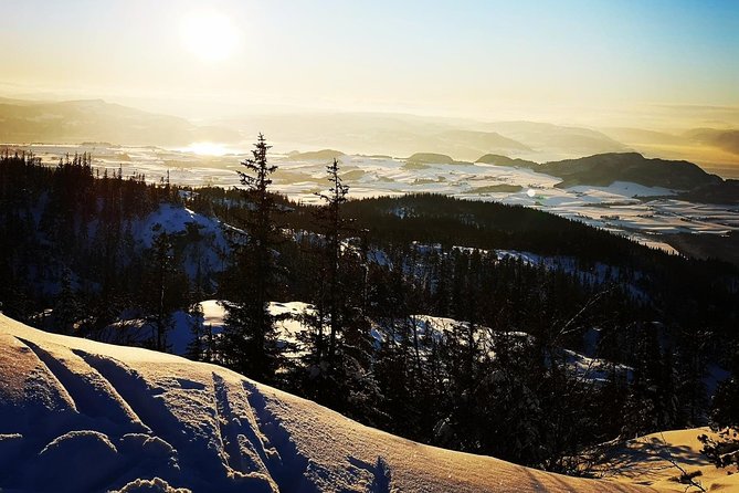 Skiing in winter wonderland - Getting Comfortable on Cross-Country Skis