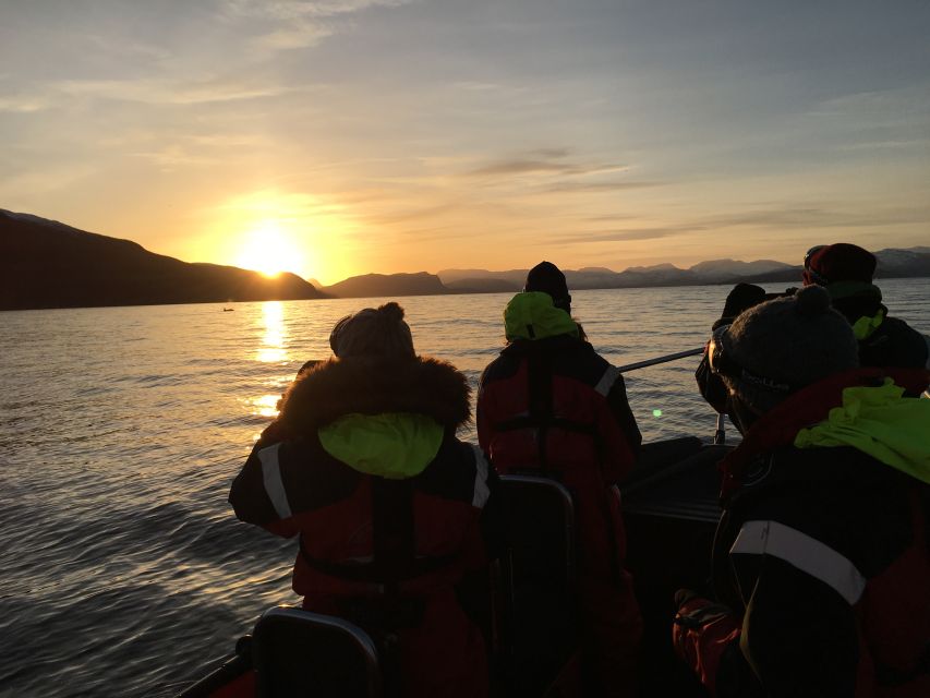 Skjervøy: Birds and Wildlife of Arctic Norway - Sami and Norwegian stories on the water