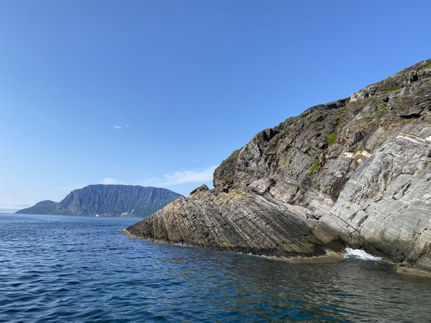 Skjervøy: Birds and Wildlife of Arctic Norway - Weather is part of the itinerary