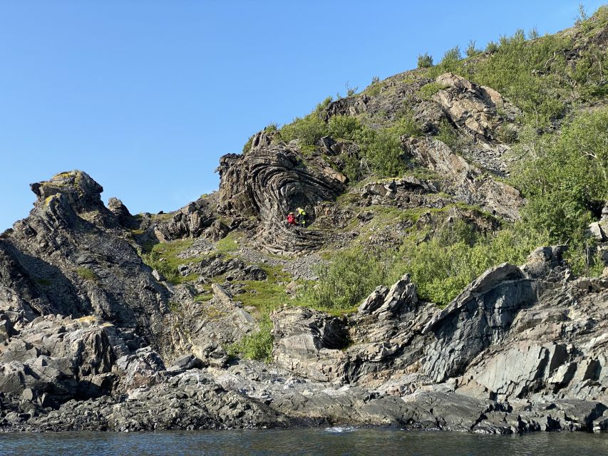 Skjervøy: Birds and Wildlife of Arctic Norway - Setting out in a RIB