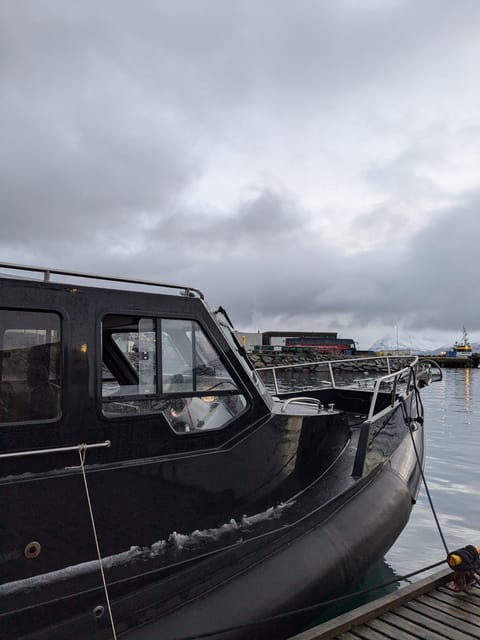 Skjervøy: Orca and Whale-Watching comfort heated Boat Trip - Setting out across the Barents Sea