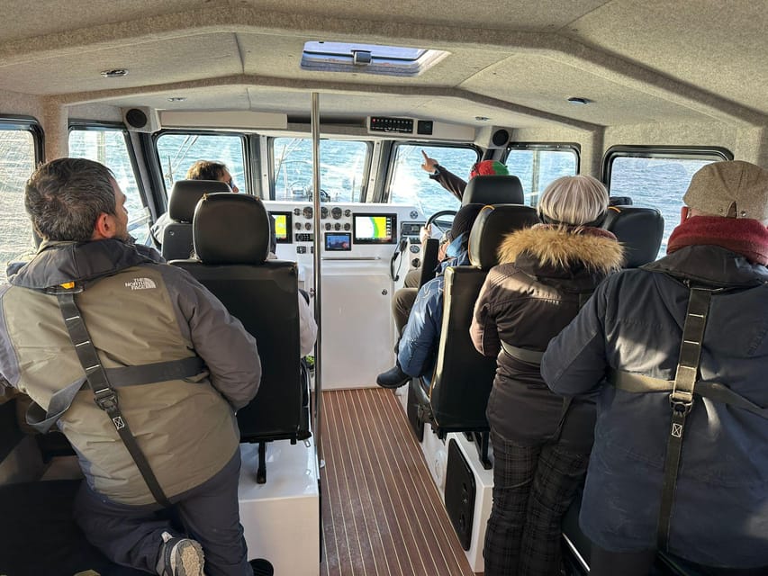 Skjervøy: Orca and Whale-Watching comfort heated Boat Trip - Meeting the boat at the Skua Nature banner