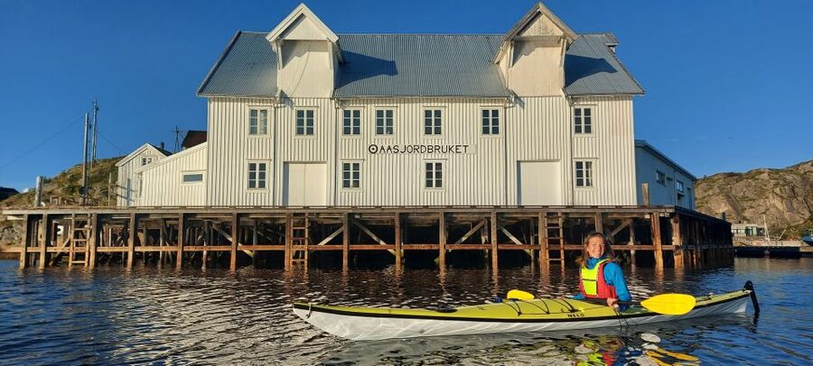 Skrova Island : 3hours Guided Kayak Tour - Is $126 a fair price?