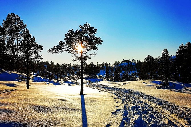 Slegding and tram-tour - Arriving in Lian’s winter forest